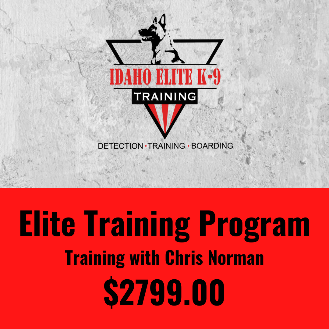 Elite Training Program With Lead Trainer Chris Norman