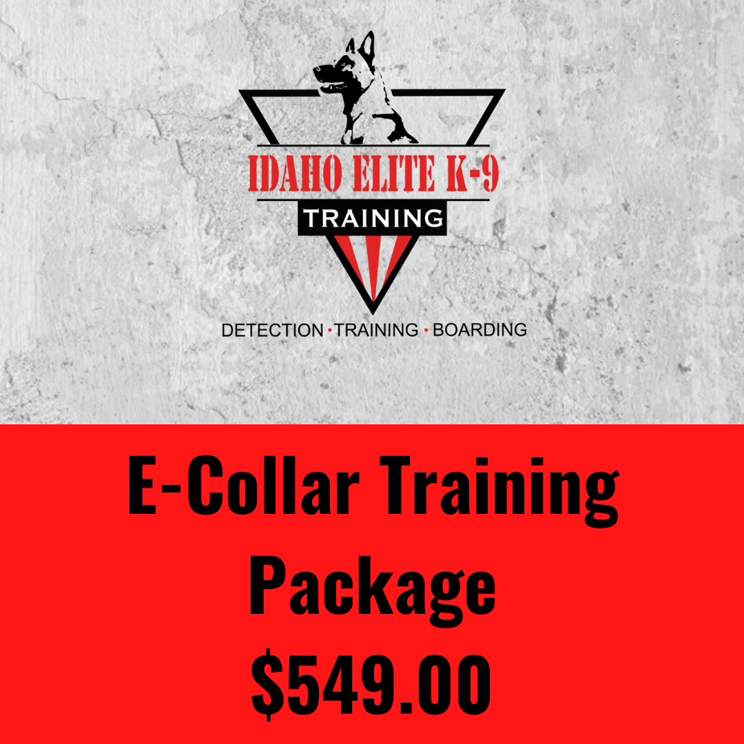 K9 e hot sale collar training