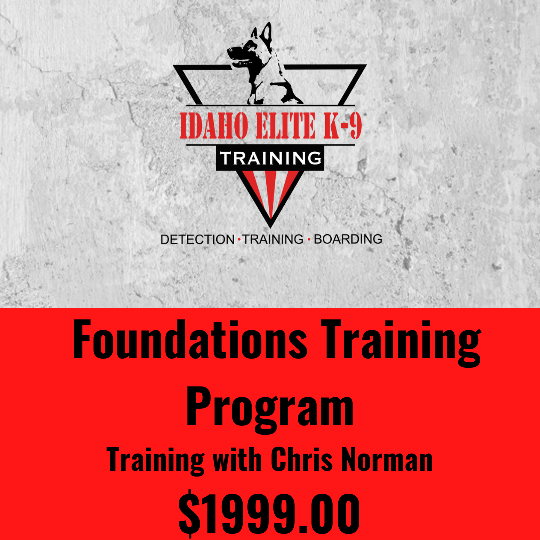 Foundations Training Program With Lead Trainer Chris Norman