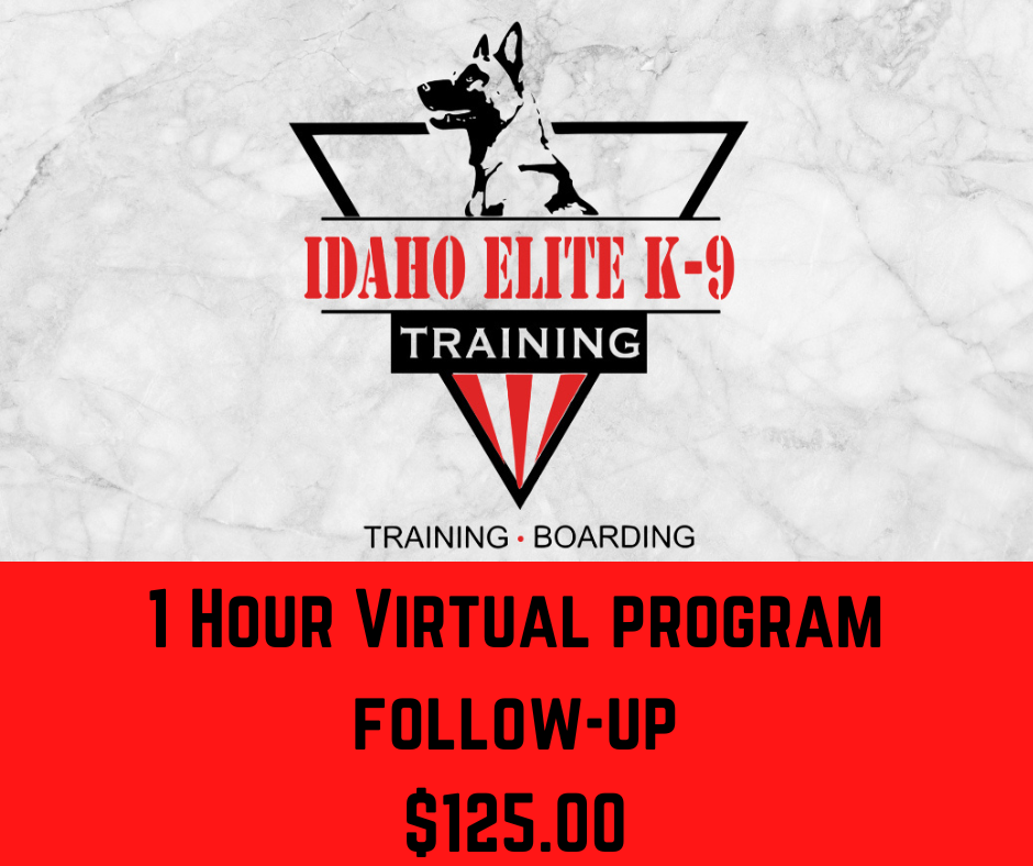 Hour online support – Idaho Elite K-91