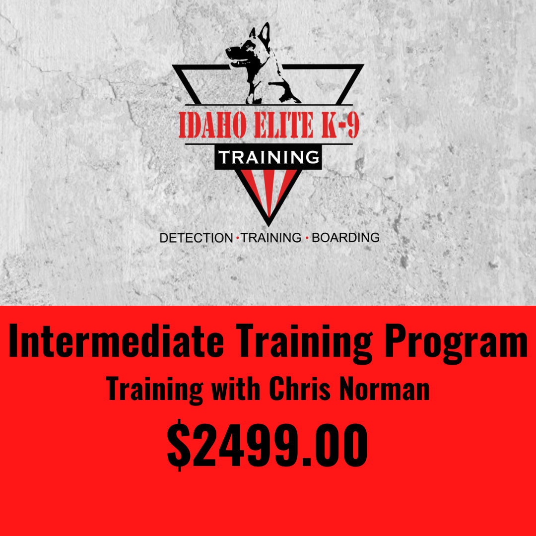 Intermediate Training Program With Lead Trainer Chris Norman