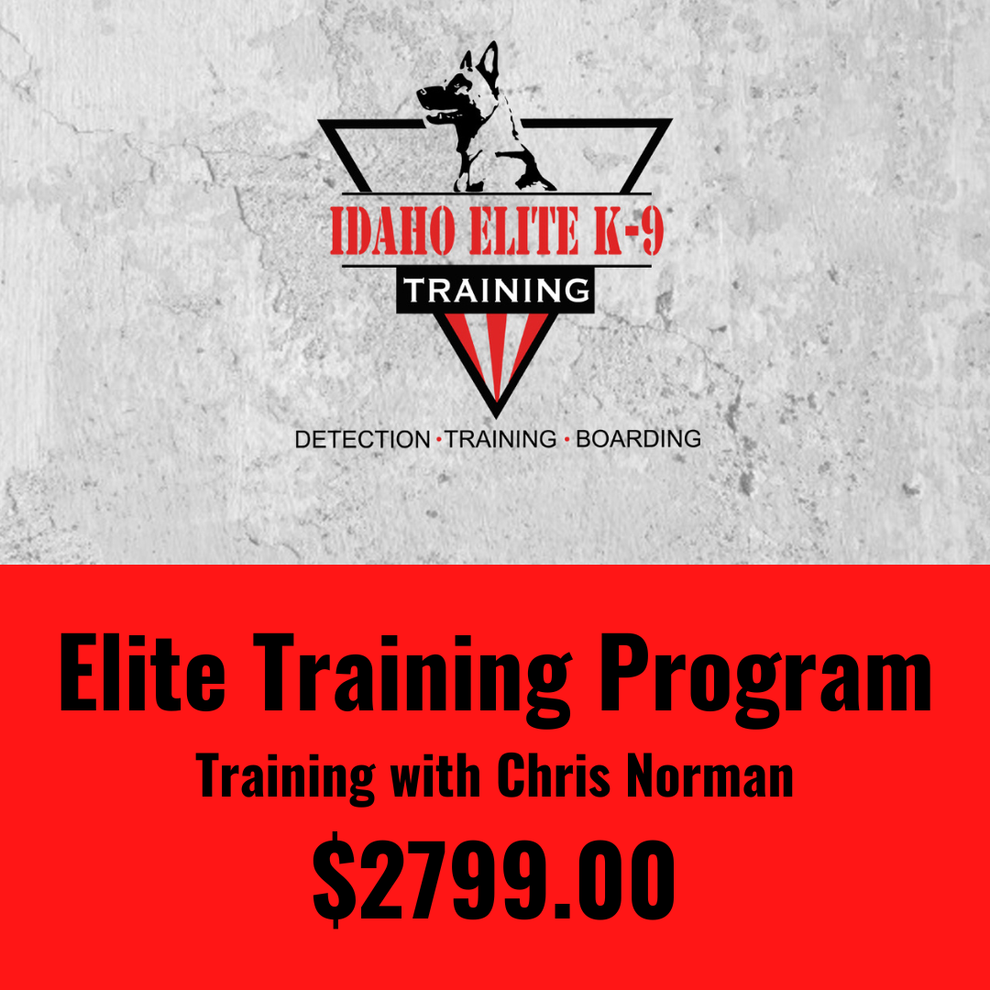 Elite Training Program With Lead Trainer Chris Norman – Idaho Elite K-9