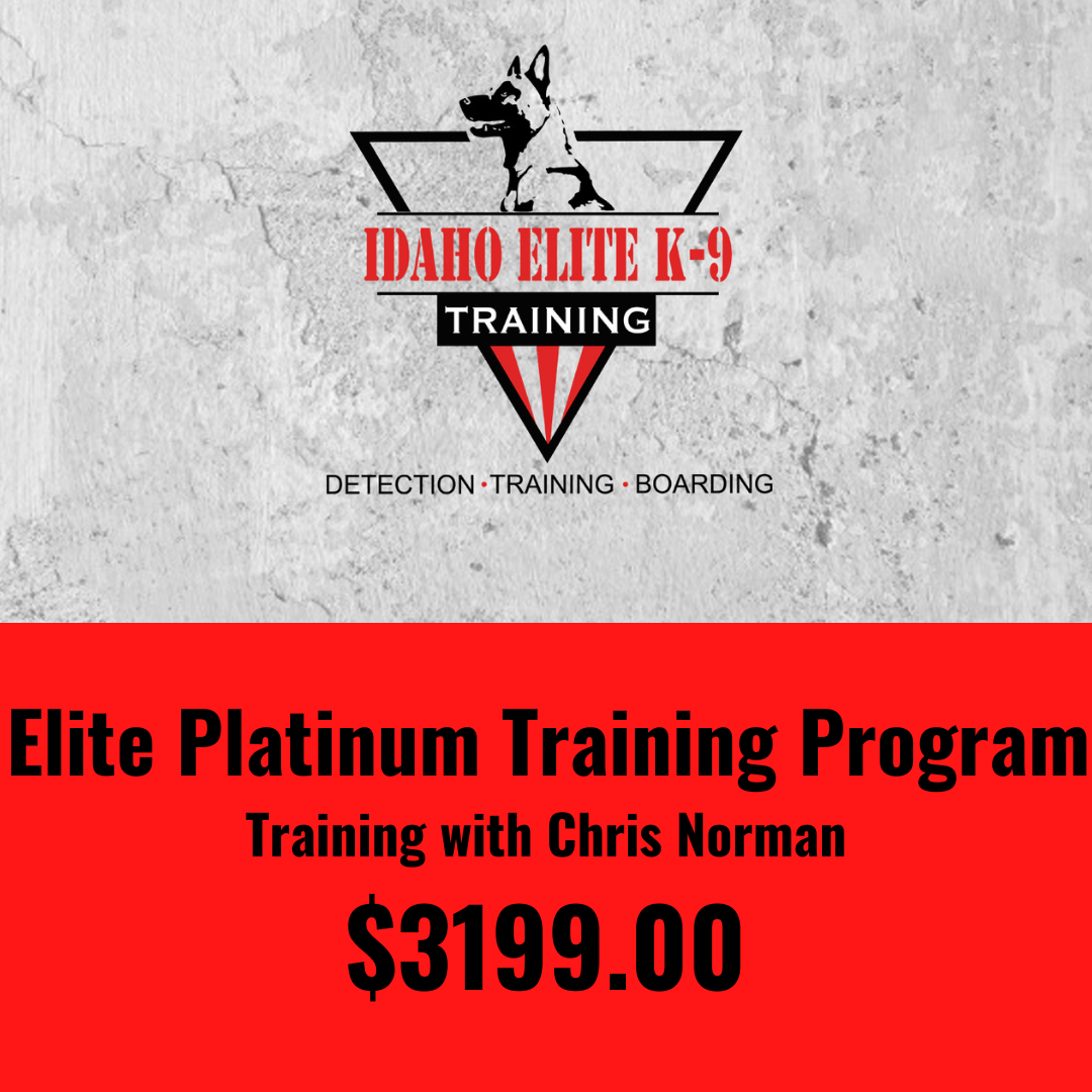 Elite Platinum Training Program With Lead Trainer Chris Norman