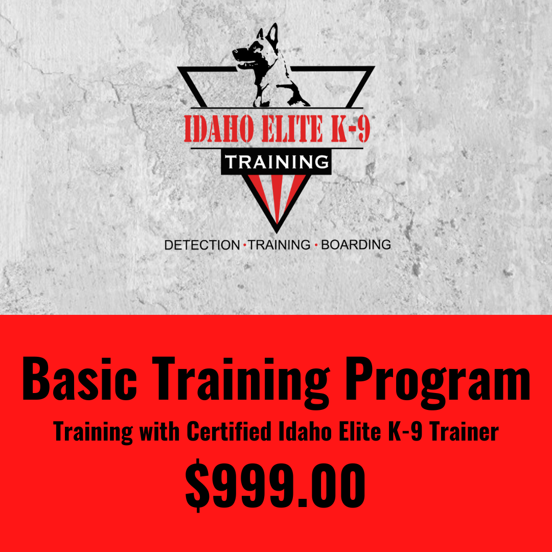 Basic Training Program With A Certified Idaho Elite K-9 Trainer