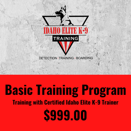 Basic Training Program With A Certified Idaho Elite K-9 Trainer