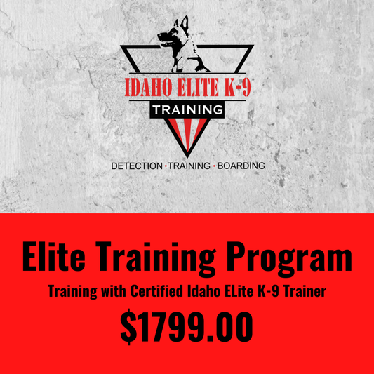 Elite Training Program With A Certified Idaho Elite K-9 Trainer