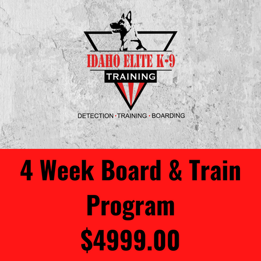 4 Week Board & Train Program