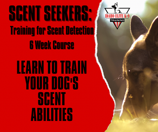 Scent Seekers: Training for Scent Detection 6 Week Class