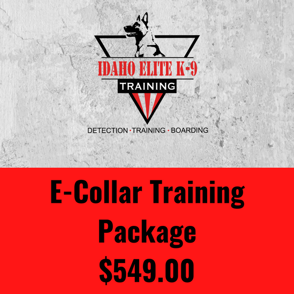 ECollar Training Program Idaho Elite K9
