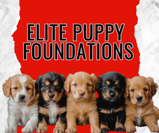 Idaho Elite K-9: Elite Puppy Foundations 4 Week Class