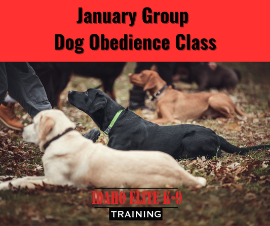 Idaho Elite K-9 January 2026 Group Obedience Classes