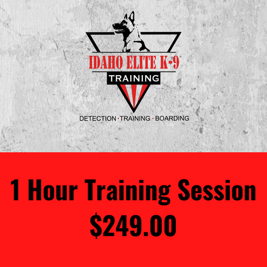 1 - Hour Training Session