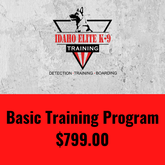 Basic Training Program