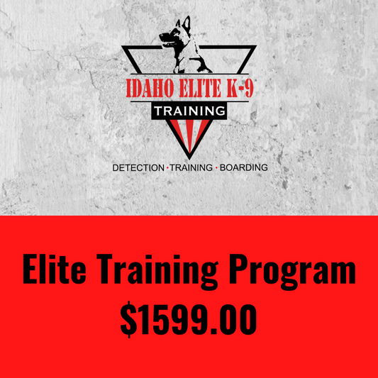 Elite Training Program