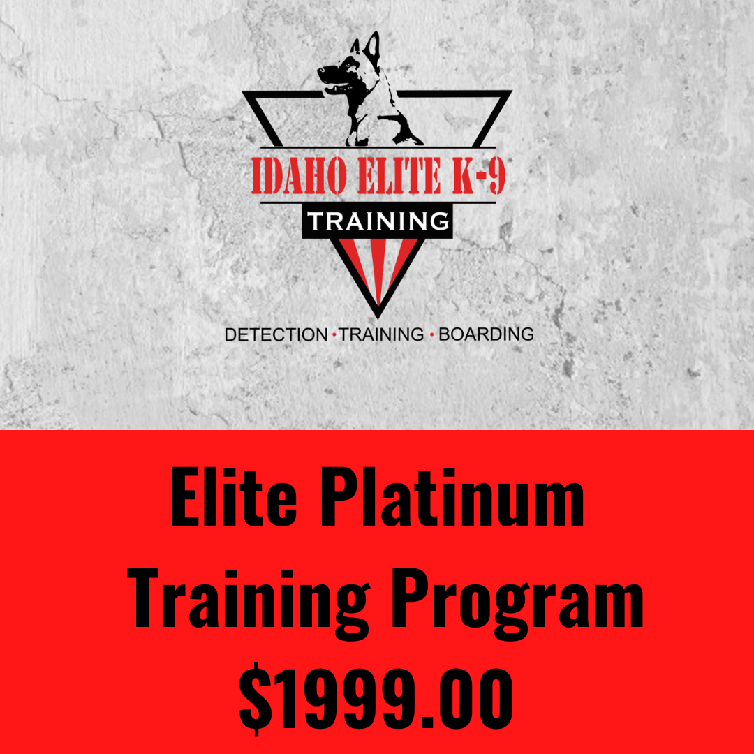 Elite Platinum Training Program