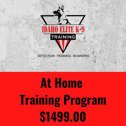 At Home Training Package