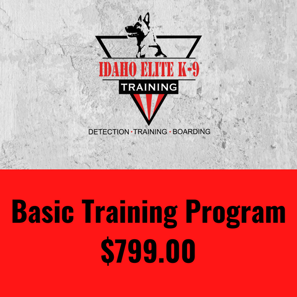 Basic Training Program – Idaho Elite K-9 - Main Image