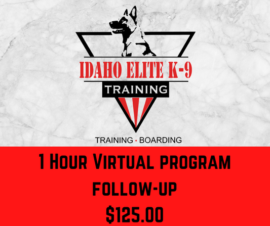 1 Hour online support program.